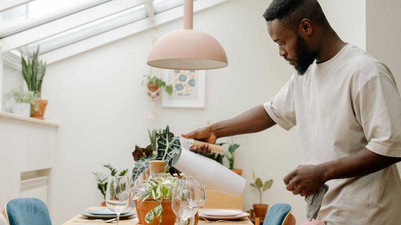 Au printemps, adoptez ces 6 astuces d’aménagement pour métamorphoser votre espace extérieur en oasis digne d’un expert (les jardiniers professionnels ne les partagent pas)