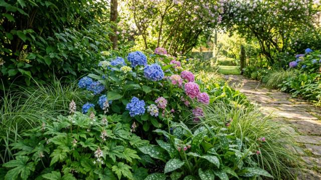 Hortensias en difficulté ? Associez-les à ces 3 végétaux d’ombre souvent négligés par les jardiniers