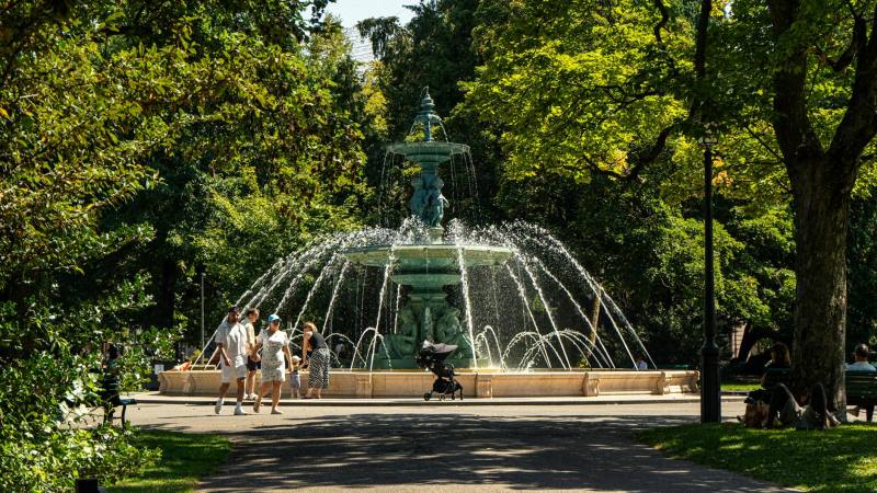 Positionner votre nichoir à cet emplacement du jardin favorise la venue de ces 10 variétés d’oiseaux en avril
