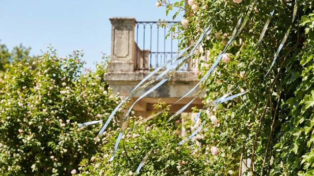 Quelle teinte fait fuir les oiseaux ?